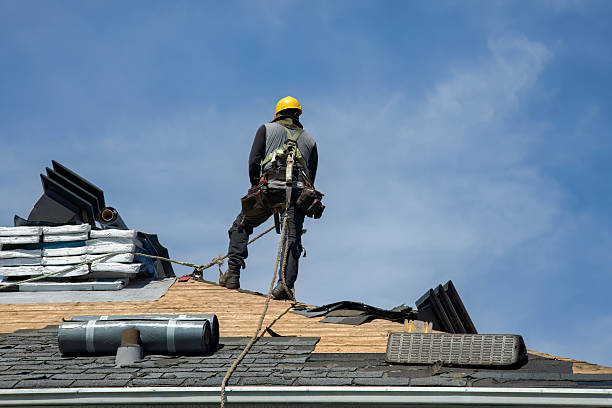 Professional Storm Damage Roof Repair technician working in Dodgertown, CA
